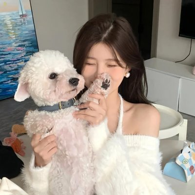 月陨回声